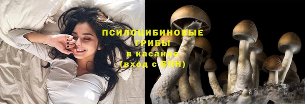 дурь Новокубанск