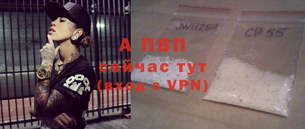 соль ск Новодвинск