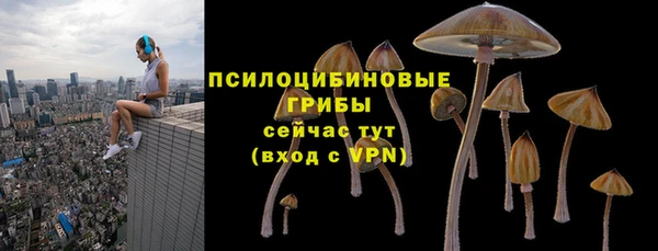 MDMA Premium VHQ Михайловск
