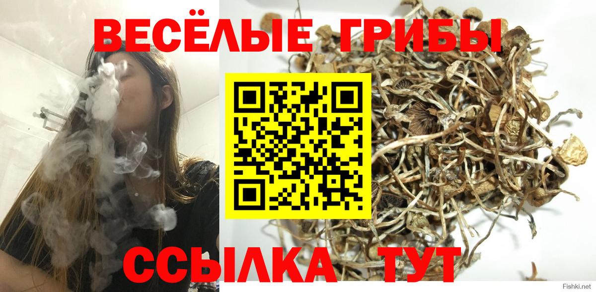 Галлюциногенные грибы GOLDEN TEACHER  продажа наркотиков  Саратов  Вход с VPN 